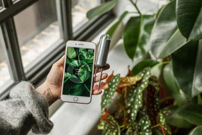 FYTA Beam è un sensore smart che ci comunicherà lo stato di salute della pianta sul nostro smartphone in tempo reale