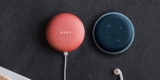 Tutte le differenze tra Amazon Echo Dot e Google Home Mini: cosa devi sapere