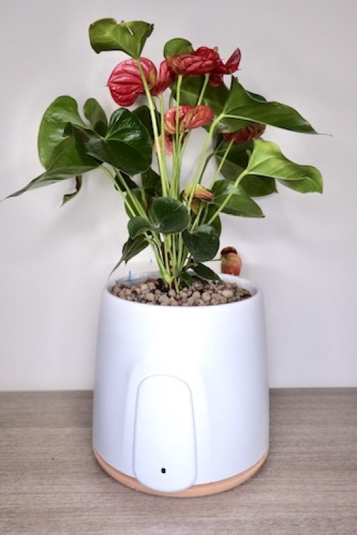 Natede: recensione del purificatore d’aria naturale Made in Italy